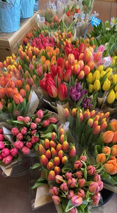 many different colored tulips are on display for sale