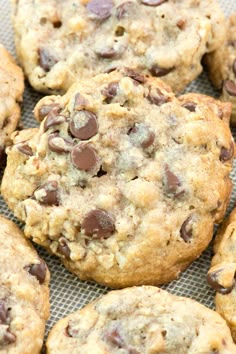 chocolate chip cookies sitting on top of a cookie sheet