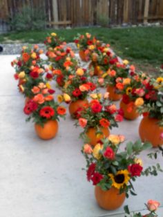 many orange and red flowers are in vases on the cement near a wooden fence