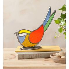 a colorful bird sitting on top of a book next to a potted plant and rocks