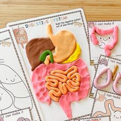 an image of children's crafts made to look like the human body and organs