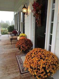 the front porch is decorated for fall with mums and pumpkins on the floor