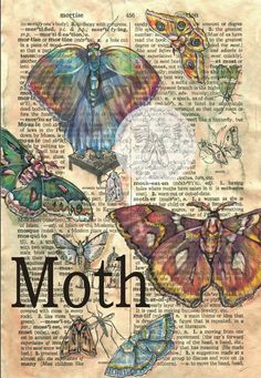 moths on an old book page with the words moth written in black and white ink