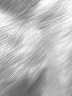 an animal fur texture is shown in black and white