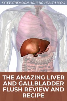 🌿 Curious about liver and gallbladder health? My latest post delves into The Amazing Liver & Gallbladder Flush by Andreas Moritz, a detox method that has profoundly impacted my wellness journey. Learn about the liver and gallbladder's crucial roles, how stones can block these organs, and the symptoms to watch for. Follow the detailed flush protocol, including a gentle cleanse recipe with apple juice and lemon. I share my personal experience, revealing how this process brought unexpected clarity and relief. Addressing common skepticism, I offer a balanced view and discuss safer, holistic ways to support liver and gallbladder health. Liver Flush Recipe, The Amazing Liver And Gallbladder Flush, Gal Bladder Cleanse, Andreas Moritz Liver Cleanse, Gallbladder Sludge Cleanse, Tea For Gallbladder, Gallbladder Flush Recipe, Gallbladder Cleanse Recipe, Kidney And Liver Detox Cleanse