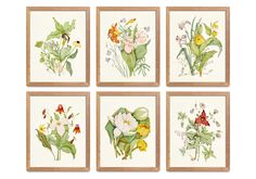 four framed pictures with flowers and leaves on them