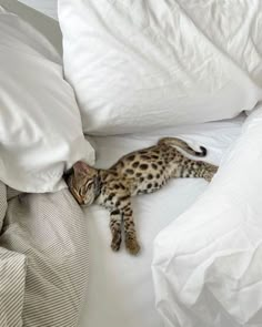 a cat laying on top of a white bed covered in pillows