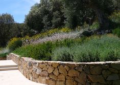 a stone wall with steps leading up to it and flowers growing on the hillside behind