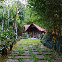 a stone path in front of a house surrounded by trees and greenery on both sides