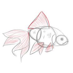 a drawing of a fish with red lines on it's body and head, swimming in the water