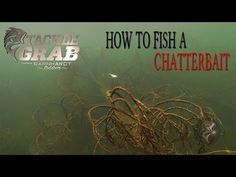 an underwater scene with the words how to fish a chaterbatt on it