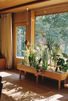 a living room filled with lots of plants next to a large window covered in curtains