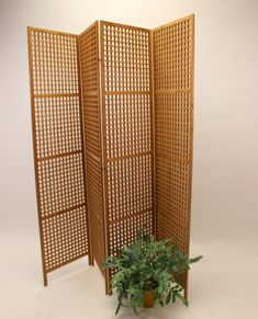 a room divider with a potted plant next to it