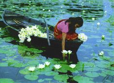 a woman in a boat with white flowers floating on the water and lily pads around her