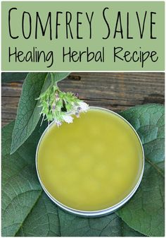 Herbal Salve Recipes, Cooking With Turmeric, Herbal Salves, Healing Salves, Homemade Bath, Herbal Recipes