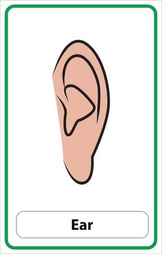 an ear is shown with the word ear in it's center and bottom corner