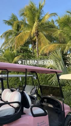 a pink golf cart parked in front of palm trees