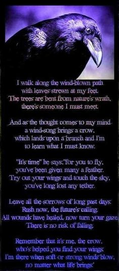 a poem written in purple with an image of a raven