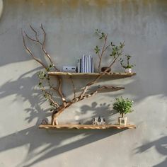 two wooden shelves with plants and books on them