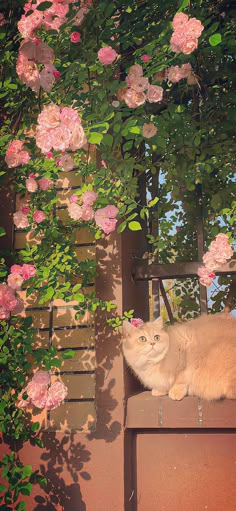 an orange cat sitting on top of a bench next to pink flowers and greenery