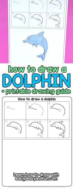 how to draw a dolphin for kids with pictures and text on the bottom page, including dolphins