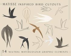 an image of birds flying in the sky with text that reads, natural watercolour graphic elements