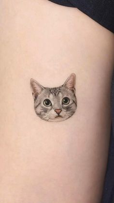 a cat's face is shown on the thigh