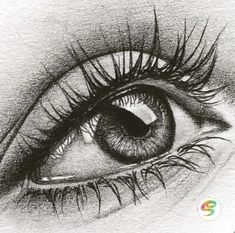 a drawing of an eye with long lashes