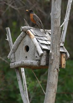 a bird house with two birds perched on it