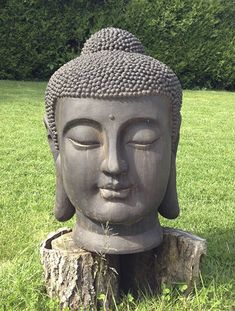 a buddha statue sitting on top of a lush green field next to a tree stump