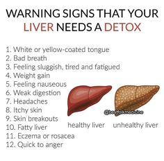 Liver Cleansing Foods, Cleansing Foods, Liver Cleansing, Feeling Nauseous, Happy Hormones, Medical Studies, Alkaline Diet, Healthy Liver