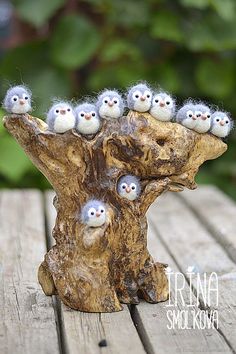 a group of small white birds sitting on top of a tree stump