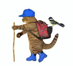 a cat with a backpack and a bird on it's back is holding a stick