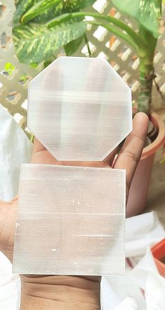 two pieces of clear plastic sitting on top of a table next to a potted plant