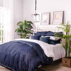 a bed with blue and white comforters in a bedroom next to a window, potted plant