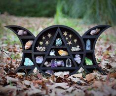 a black shelf filled with different types of rocks and crystals on top of leafy ground