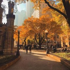 two people walking down the street in an autumn park with yellow trees and tall buildings