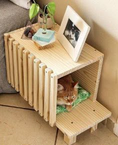 a cat laying on top of a wooden shelf next to a potted plant and pictures