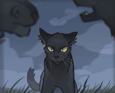 a black cat with yellow eyes standing in the grass