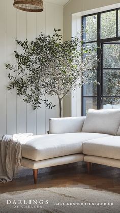 a living room with a white couch and tree in the corner, next to a large window