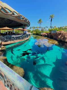 the water is very clear and blue with fish swimming in it's bottom half