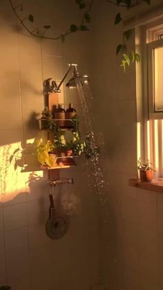 a shower head with water coming out of it and plants on the ledges above