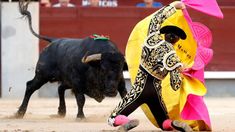 Tauromaquia ¿Por que se genera tanta polemica? Matador Costume, Diego Garcia, Spain Madrid, Action Pose Reference, Stop Animal Cruelty, Action Poses, Short Film, Pose Reference, Rodeo