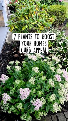 there is a sign that says 7 plants to booster your homes curb appeal