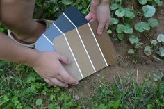 a person is picking up paint samples from the ground in front of some grass and plants