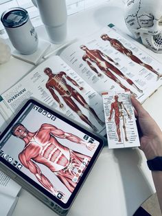 Anatomy doesn’t have to be a struggle! Kits of Medicine turns it into a journey through the human body. 🩻 Perfect for visual learners and future doctors alike! 🧠🩺 #MedLife #AnatomySimplified