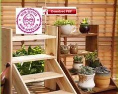 an assortment of plants are displayed on wooden shelves