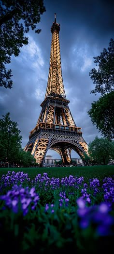 the eiffel tower lit up at night with purple flowers in front of it