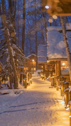 a snowy path lined with lights and trees