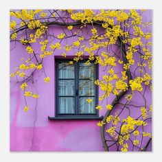 a window with yellow flowers in front of a purple wall and tree branches on the outside